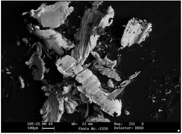 scanning electron microscope analysis